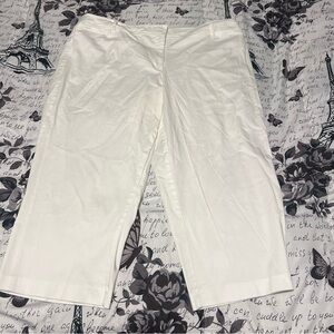 Women’s dress pants 20W